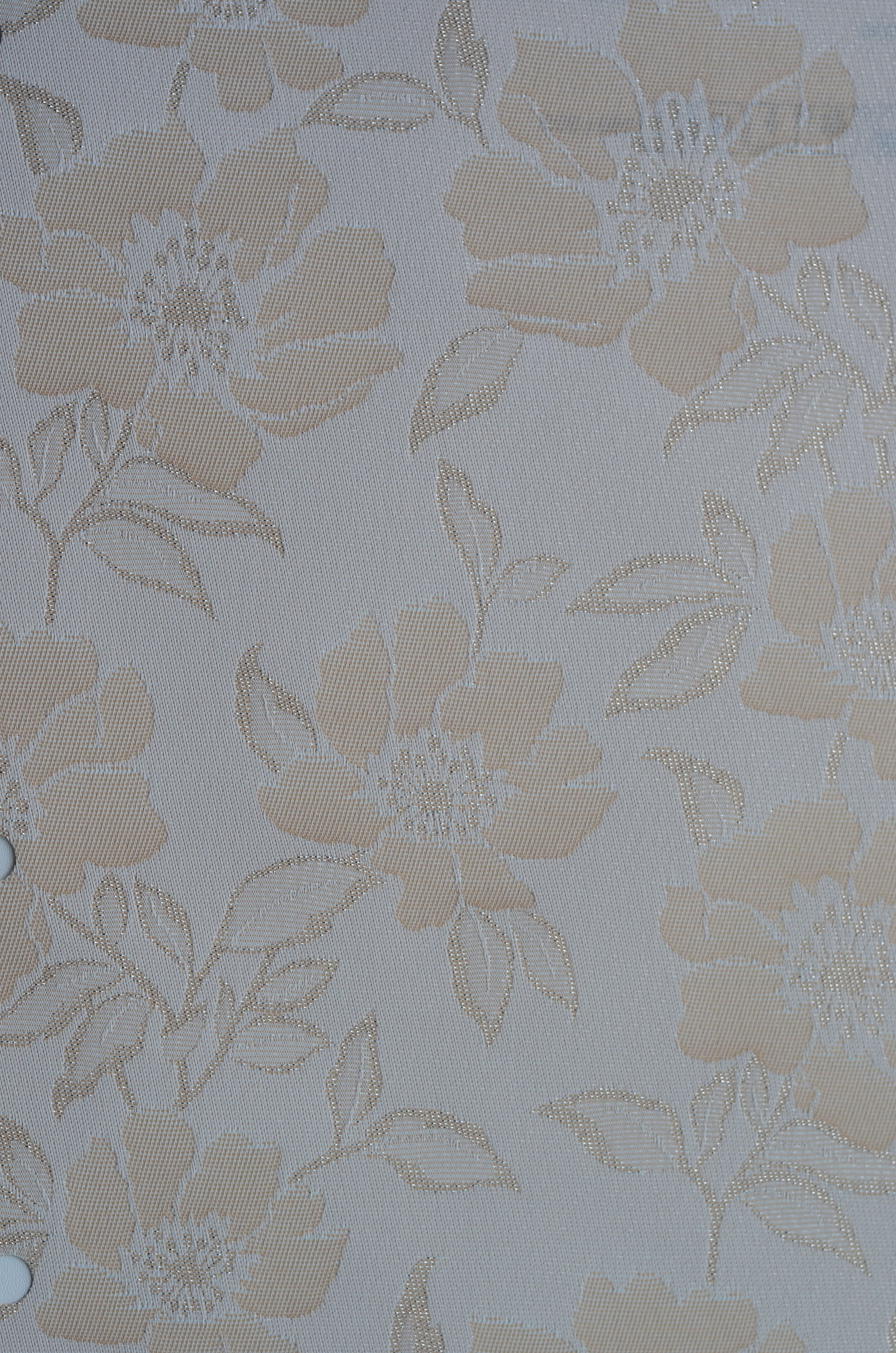 КАМЕЛИЯ персик