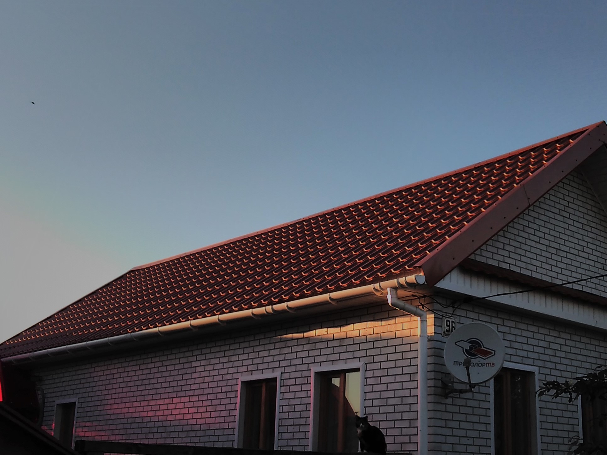 покрытие agneta